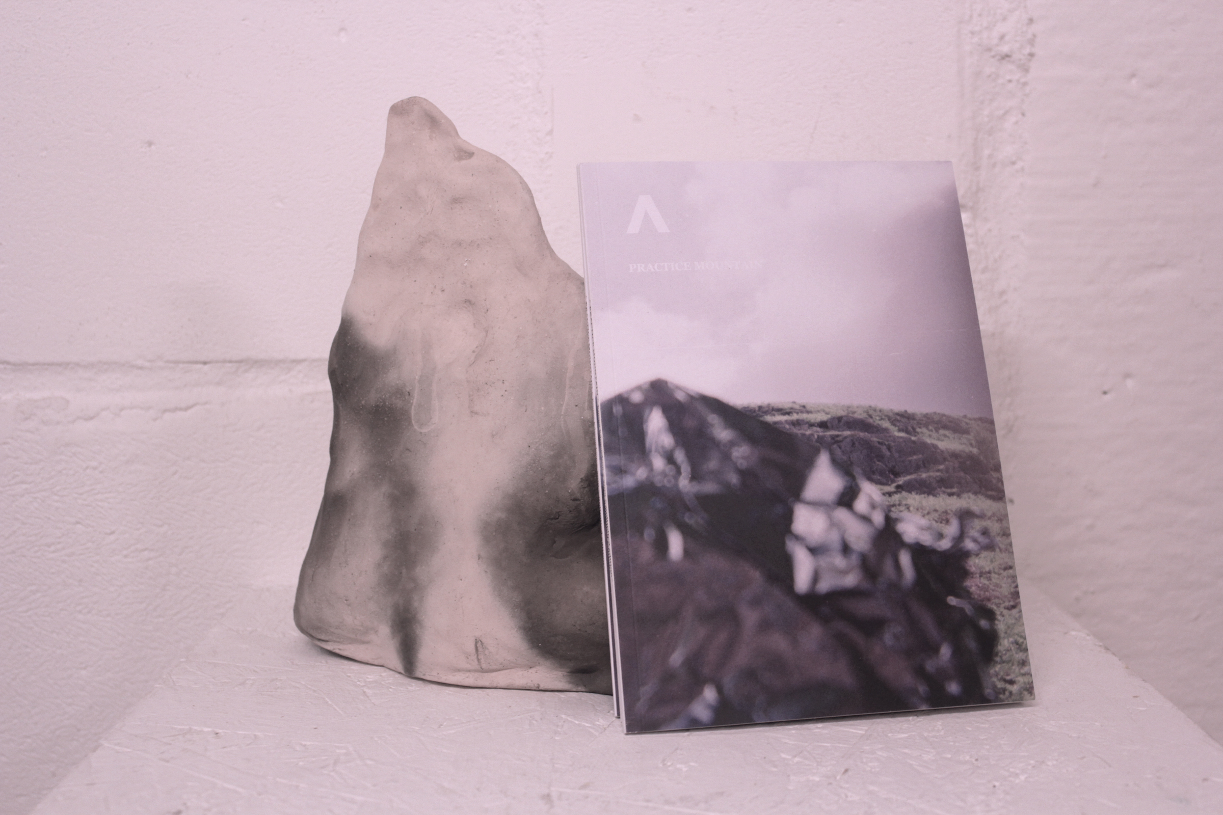 Practice Mountain Publication, show at Focal Point Gallery, 2021
